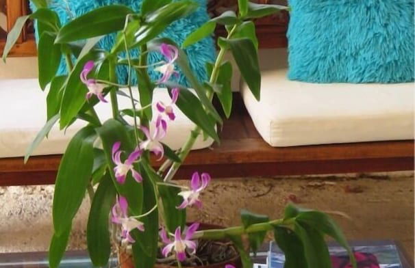 Beach Front Paradise - Foto 15