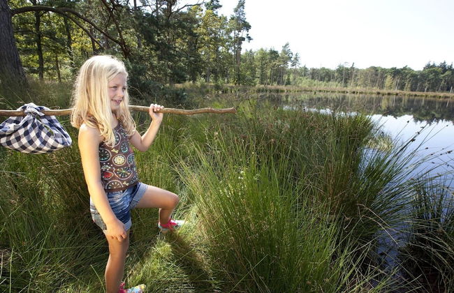 Nature Stay in Hunzedal - Photo 31