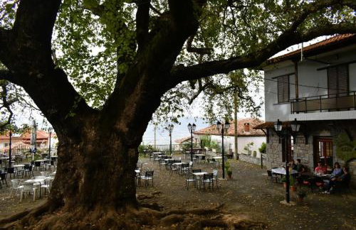 Το ΦΑΡΑΓΓΙ Του ΠΑΡΝΑΣΣΟΥ - Foto 21