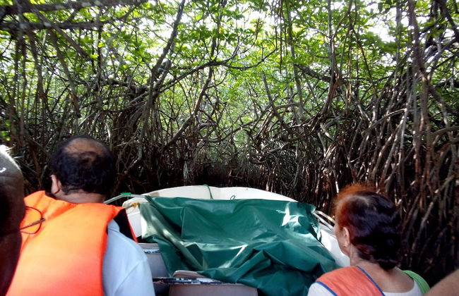 Villa Seven Panadura - Photo 17