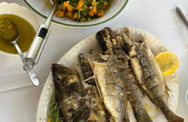 Koko's home - Photo 40