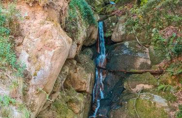 Casa Da Clarinha - Foto 6