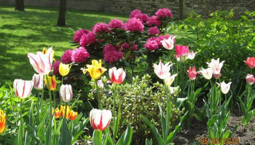 Herberge im "alten Pfarrhaus" in Schmergow am Havel-Radweg - Foto 4, Garden view