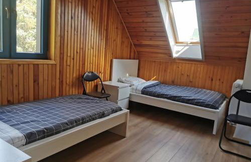 Leśne Wspomnienia - Foto 16