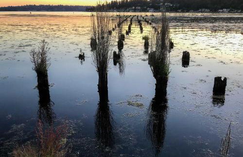 2 Mi to St Edward State Park Ground-Level Studio - Foto 25