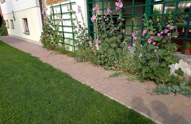 Wohnung in Alt Bukow mit Garten - Foto 41