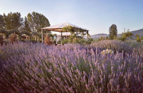 Il Fienile di Assisi - Photo 142
