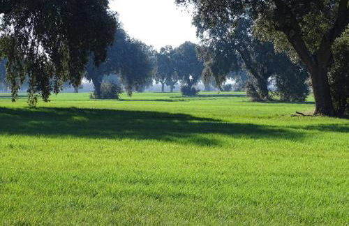 LA CASA DE ELENA - Foto 30