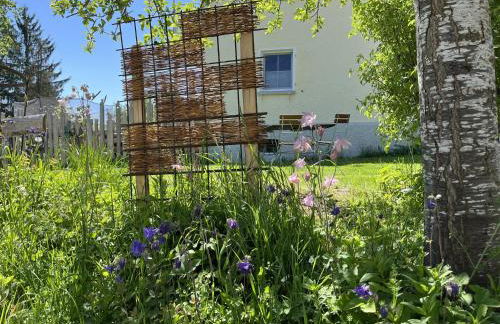 Sonnenschein - Foto 14