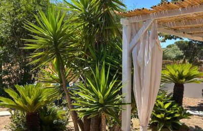 Casa Antele - Foto 74