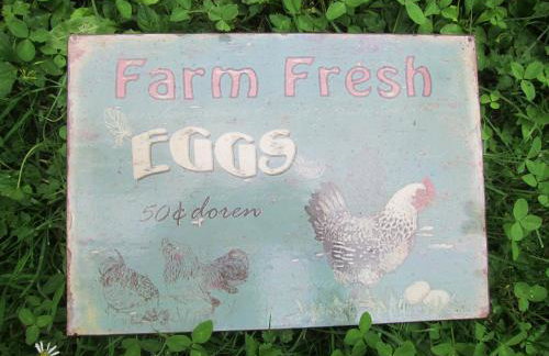 Historisches Ferienhaus Zum alten Standesamt - Foto 50