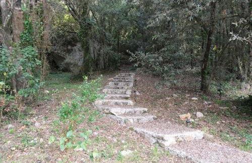 The Wonder 400m from the Sea - Photo 22