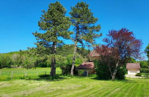 Maison bien être avec sauna - Gîte les 4 saisons - Lac de chalain - Foto 6