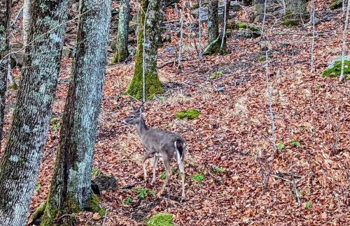 Heaven's Peak - Foto 33