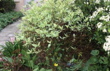 La petite Maison dans la Croix Rousse - Foto 34