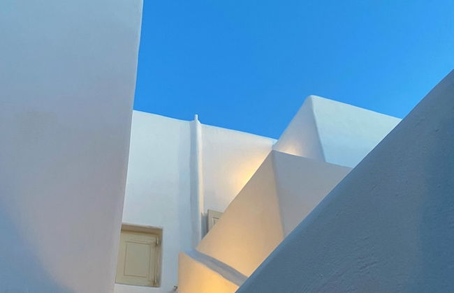 Mykonos Twins - Photo 67