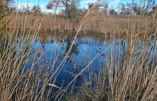 La Cabane du Boumian - Foto 54