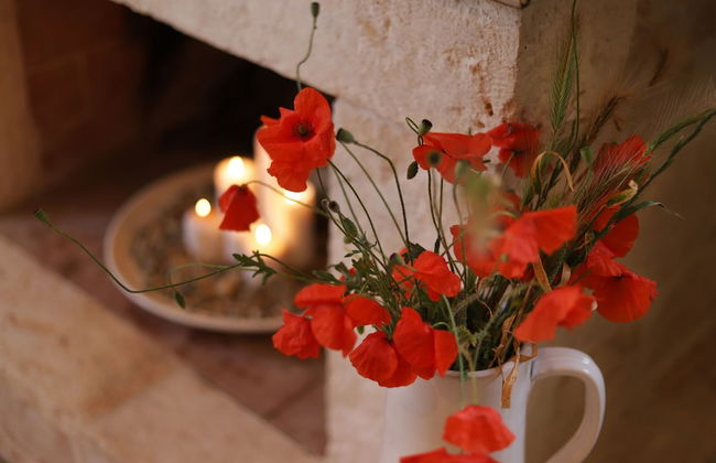 TD Dimora di Genna Trulletto with Lush Garden Pool - Foto 20