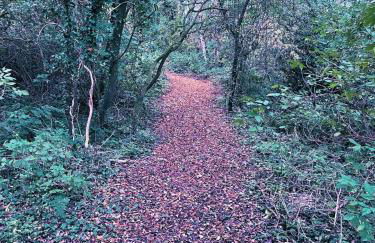 'Cosy Gem' Cabin Woodland Retreat Randalstown NI - Foto 14