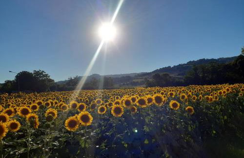 mansio maritima - Foto 75