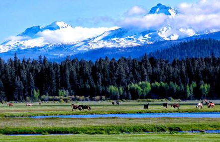 Black Butte Ranch Modern A-Frame Retreat, sleeps 8 - Foto 14