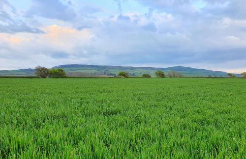 East View Cottage iow - Foto 26