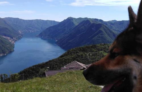 Le Casette di Laila - Foto 34