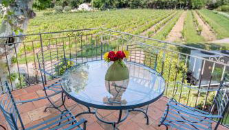 Gîte Lavande au milieu des vignes - Chateau les Apiès - Foto 5, Garden