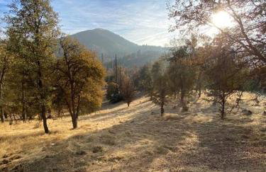 Modern House on 5 acr in Sequoia National Forest - Foto 77