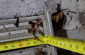 The Fred Deluxe 7 BR by I95 Train HarborVw Beach - Foto 47