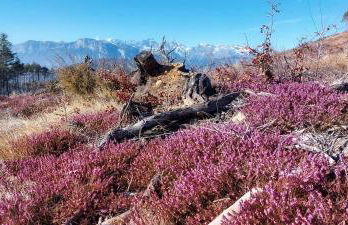 Appartamento EDELWEISS - Foto 25