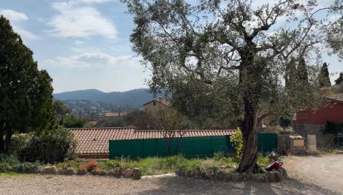 Rez de villa Peymeinade - Foto 2, Garden