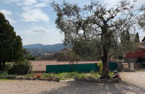 Rez de villa Peymeinade - Foto 2