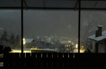 The Green Owl - Foto 56