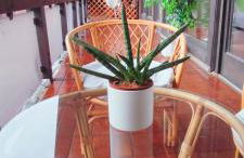 Stilvolle Galeriewohnung im Land der tausend Berge - Foto 19