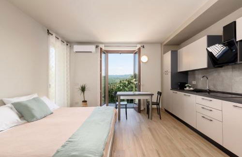 Angolo sui vigneti - Foto 8