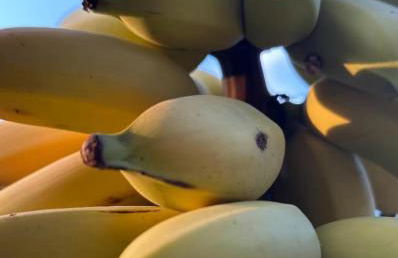 Lindo Sítio Estilo Moderno - Foto 74