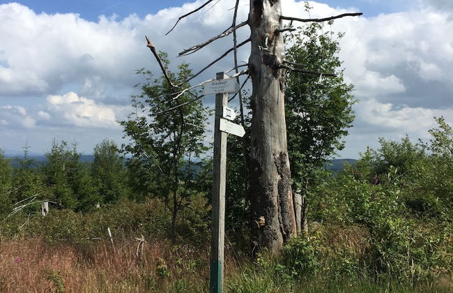 Fewo Corell - Photo 22