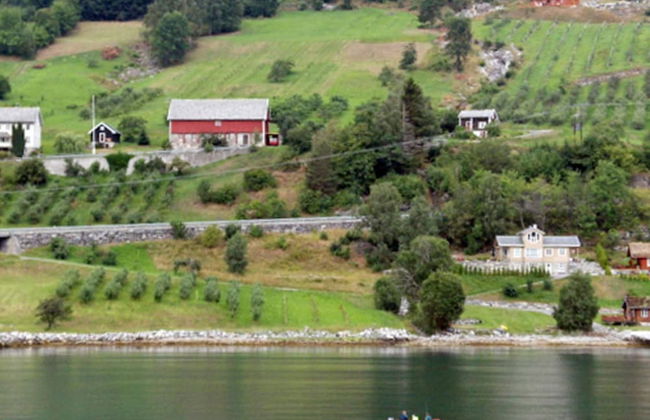 4 Person Holiday Home in Valldal - Foto 4