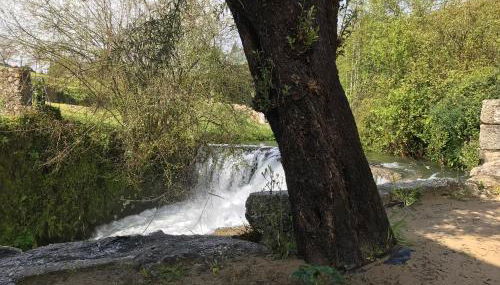 Casa de Riba'Dão - Arcos de Valdevez - Photo 5