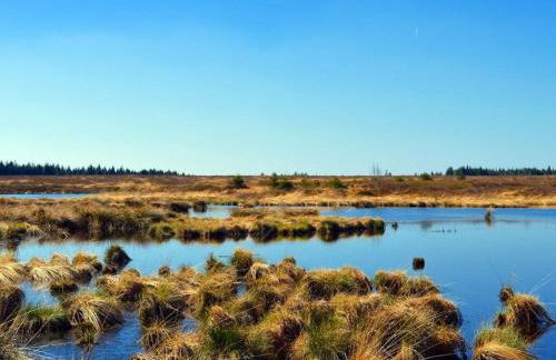 Holiday apartment on the Eifelsteig - Foto 27