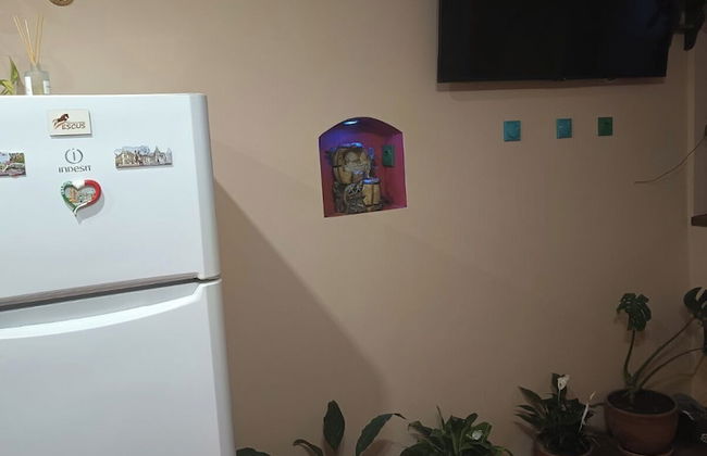 ESCUS HORSES - Foto 12