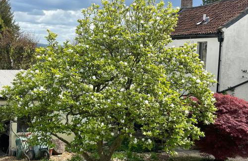 The Hideaway & Sauna at Ring O'Bells - Photo 10