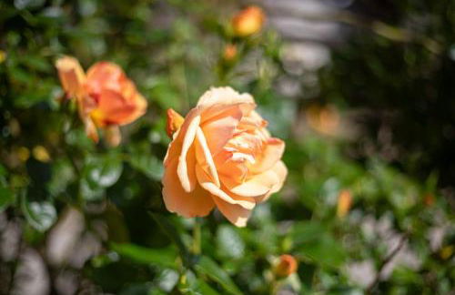 Gemütliches Gästehaus - Foto 35