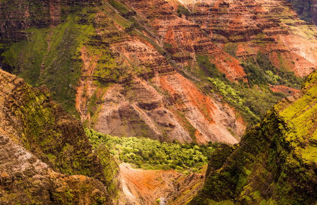 Waimea Canyon & Kōkeʻe State Park Day Trip - Foto 3