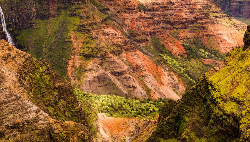 Waimea Canyon & Kōkeʻe State Park Day Trip - Foto 3