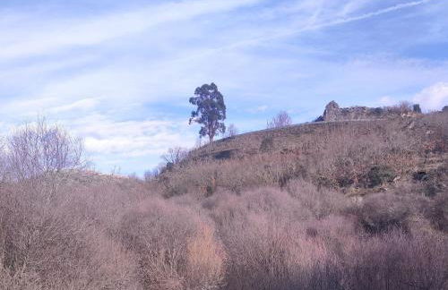 Casa do Pardal - Foto 24