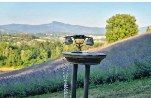 La lavanda di Poppi-mini appartamento - Foto 40