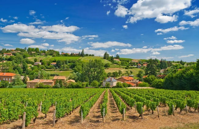 Village du Soleil - Photo 35