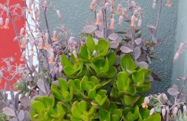 Um quarto da Casa Do Monte - Photo 10